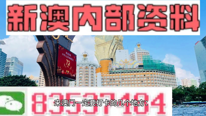 2024年澳门全年免费大全｜2024年澳门免费活动全攻略_实证解答策略解析分析