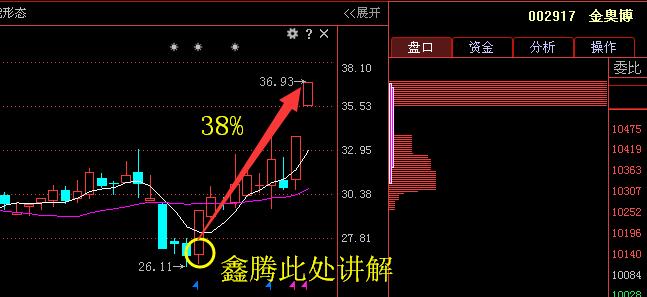 一码一肖100%精准｜一码必中100%准确_系列化解析落实方法