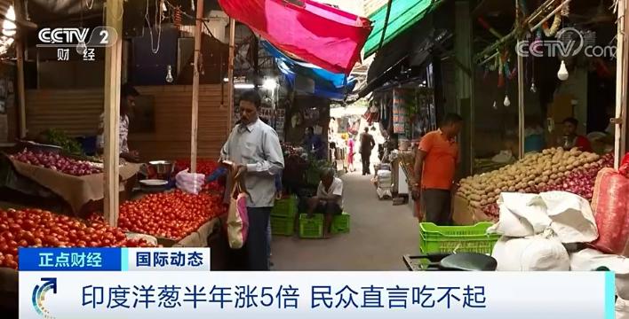 临沂洋葱价格最新行情-“临沂洋葱市场价格动态”