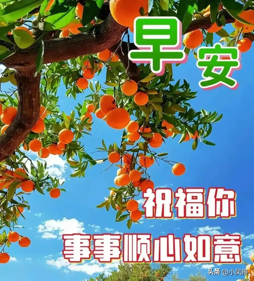 新澳天天彩免费资料2024老｜2024年全新澳天天彩资讯_创新计划探讨方案