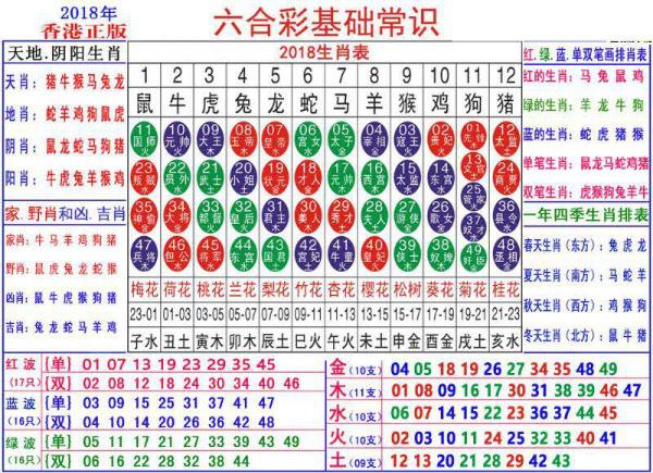 澳门正版资料大全资料生肖卡｜澳门正版生肖卡全攻略_高效方案实施设计