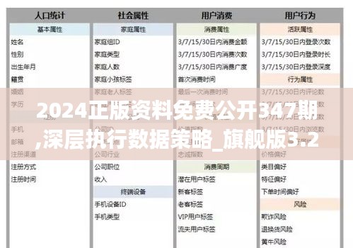 2024正版资料免费公开｜2024年正版资料免费分享_细致研究执行策略