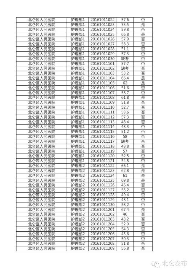 湛江活力新篇章：粤西明珠绽放璀璨光芒