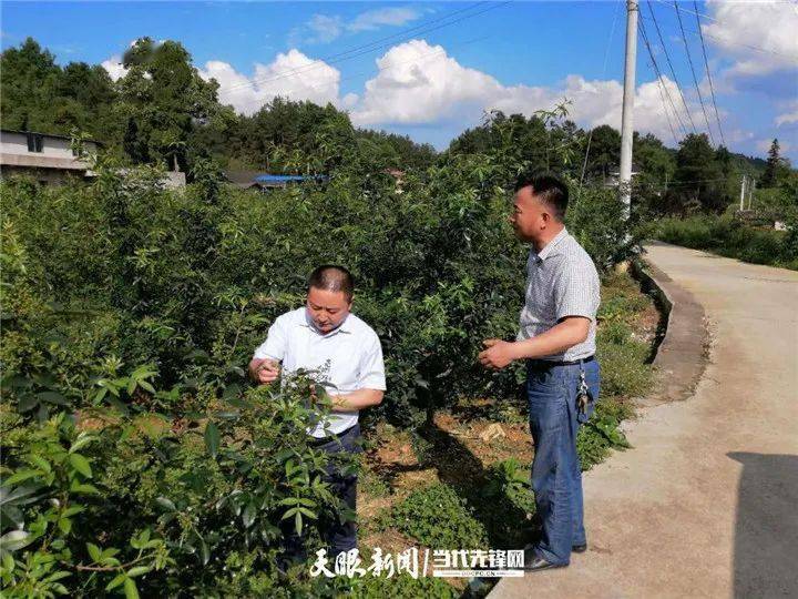 遵义新舟镇最新建设，遵义新舟镇建设新进展