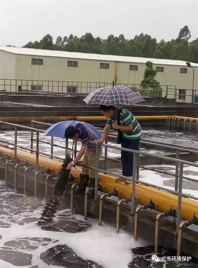 广东环保最新动态揭秘