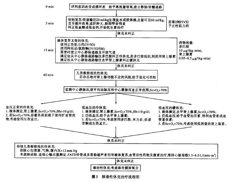 2022脓毒症最新指南原文｜2022脓毒症临床指南全文解读