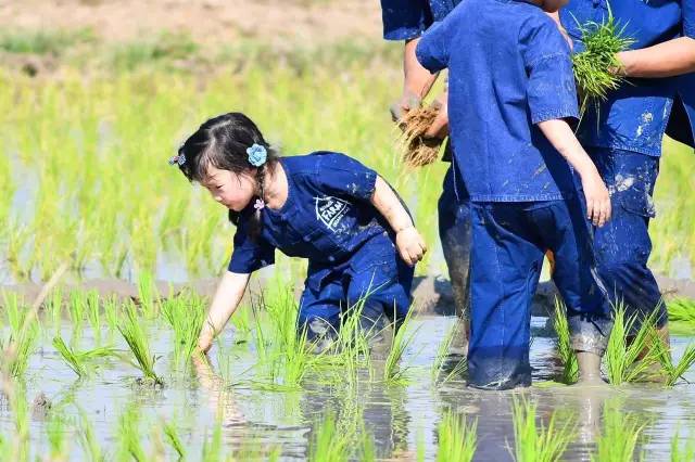 最强小农民最新起点｜巅峰农娃，崭新篇章