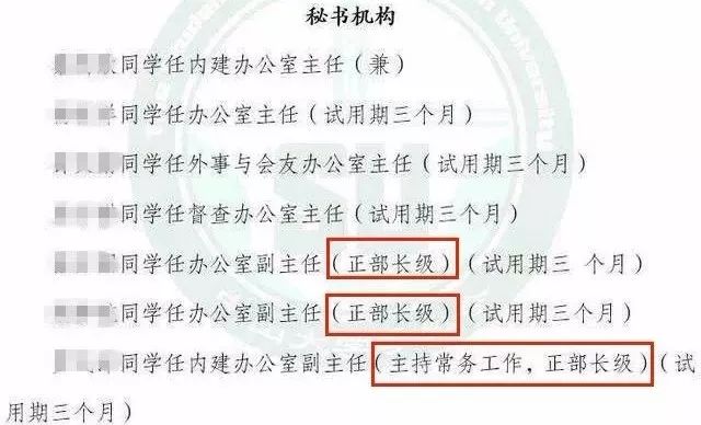 沙湾干部任命公示揭晓