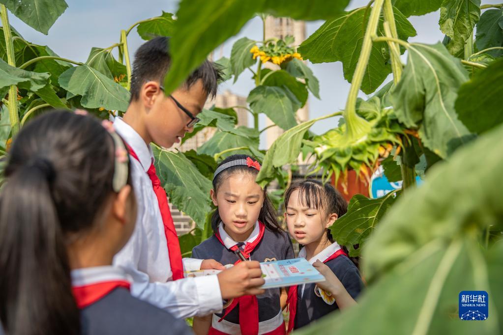 无锡星湖花海最新房价-无锡星湖花海房价动态