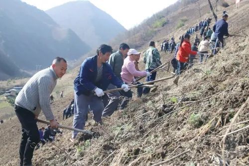 平利县正阳镇新鲜资讯速递