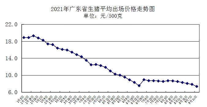 黄建南佳作倾拍，精彩呈现盛宴