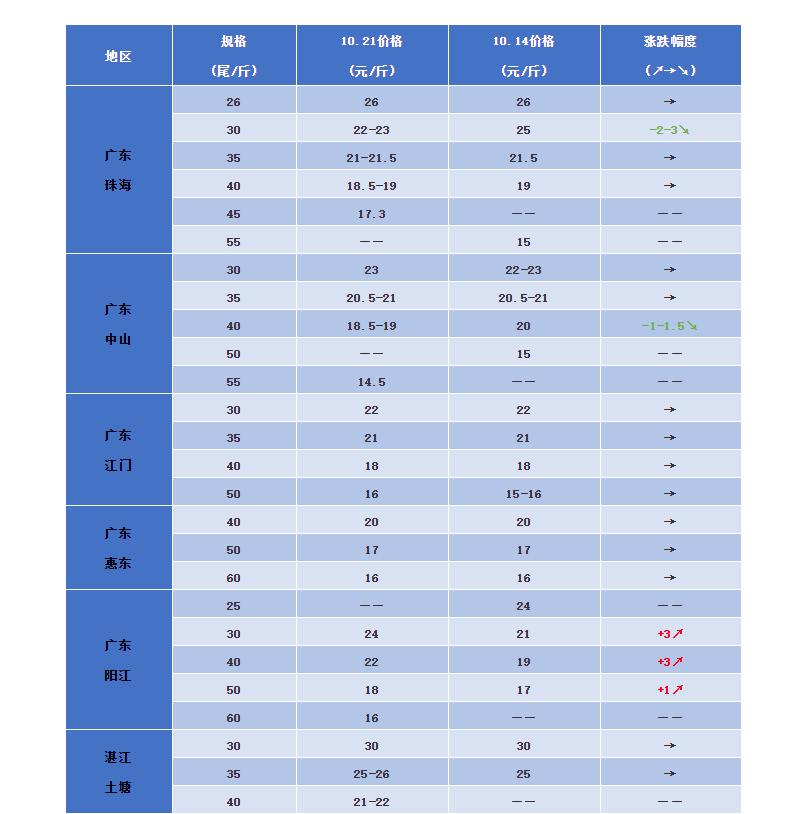 南美白对虾塘头价喜讯连连，最新行情展现丰收景象