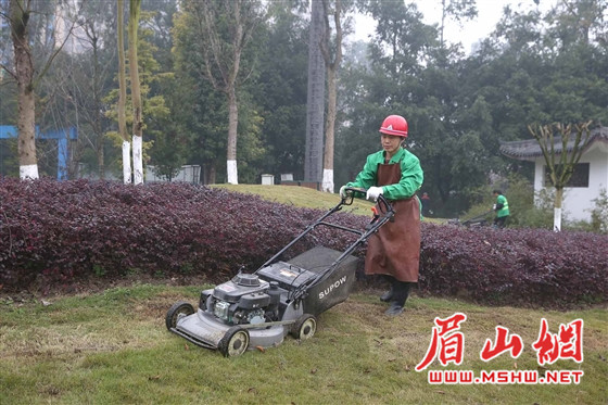 眉山绿色守护行动，最新环保进展喜讯连连