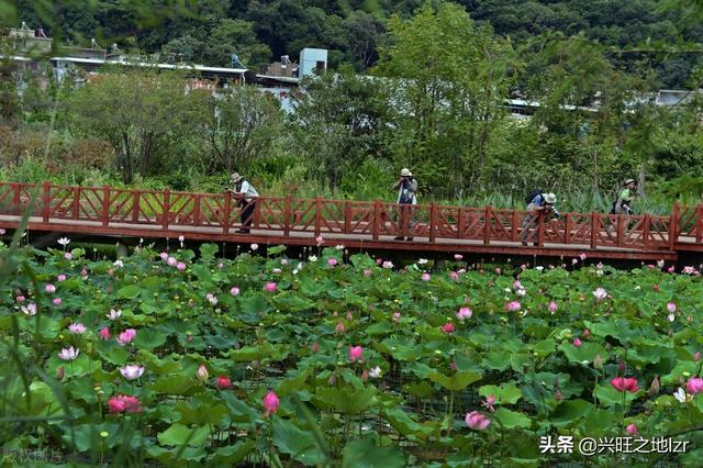 贵阳花溪溪谷盛景新篇章，活力绽放，美不胜收