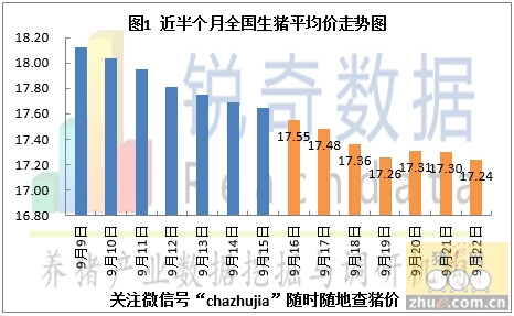 粉条市场喜讯：最新价格行情上涨趋势明显