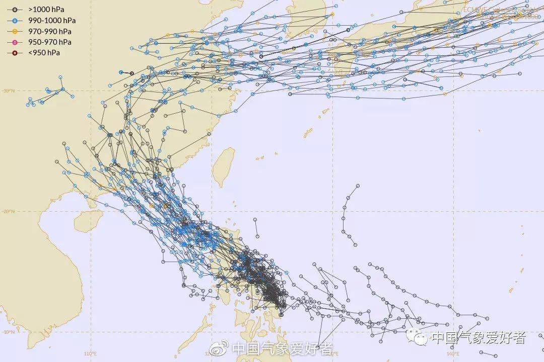 “鹦鹉台风最新动态”