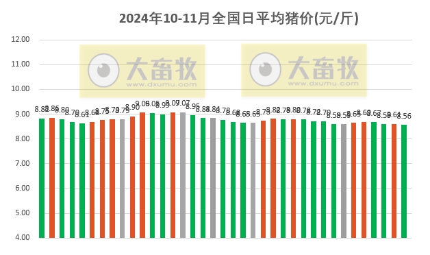 今年生猪价格最新动态