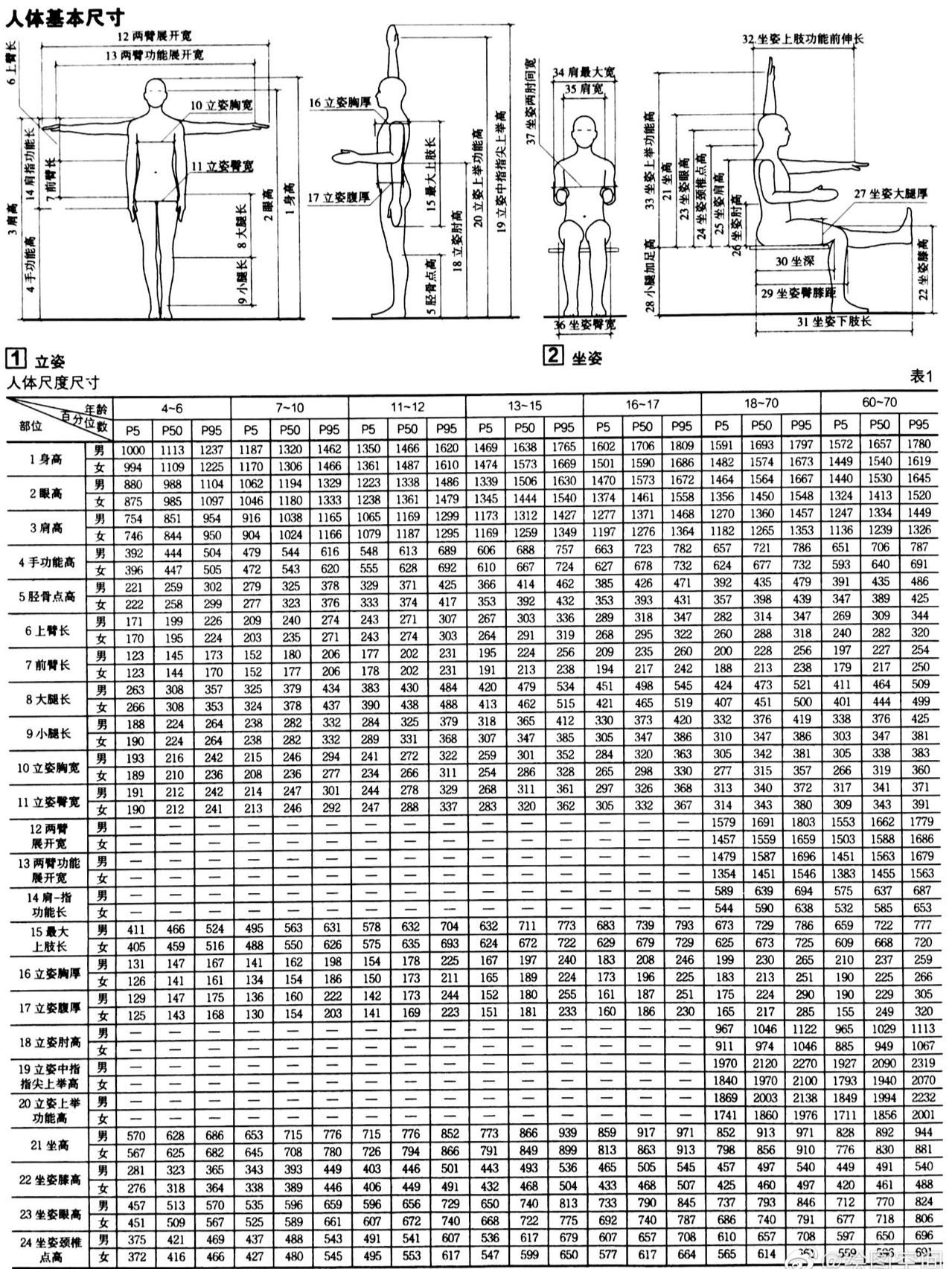 刷新尺度，共筑美好人体新标准