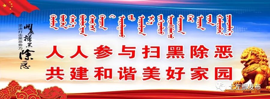 共建和谐家园，助力美好未来——扫黑除恶新篇章