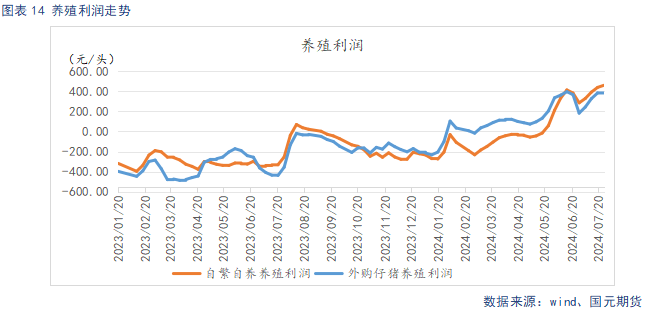 三版币增值新动向，市场回暖价格看涨！