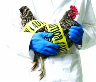 H7N9流感最新动态