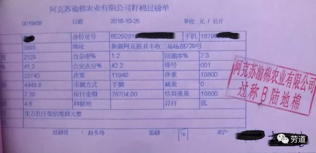 近期麸子市场最新行情及价格动态解析