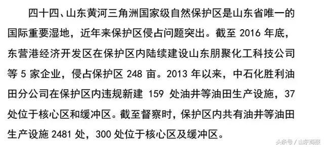 最新速递：山东环保督查动态盘点，揭秘环保整治前沿资讯