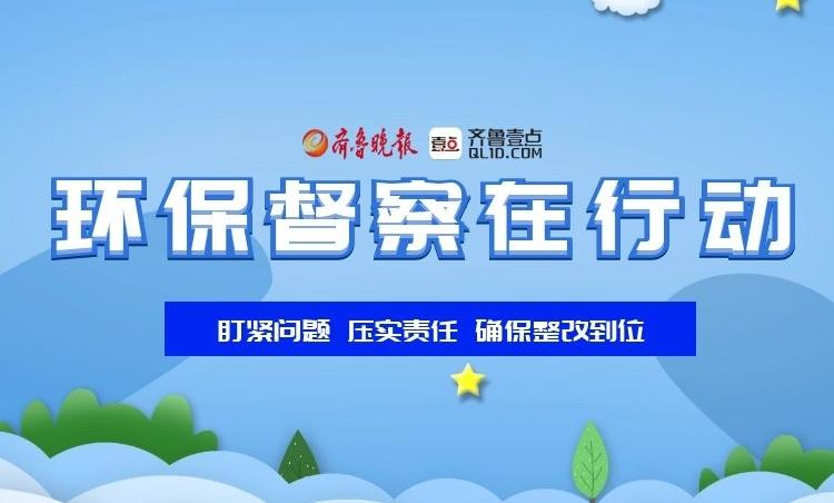 最新速递：山东环保督查动态盘点，揭秘环保整治前沿资讯