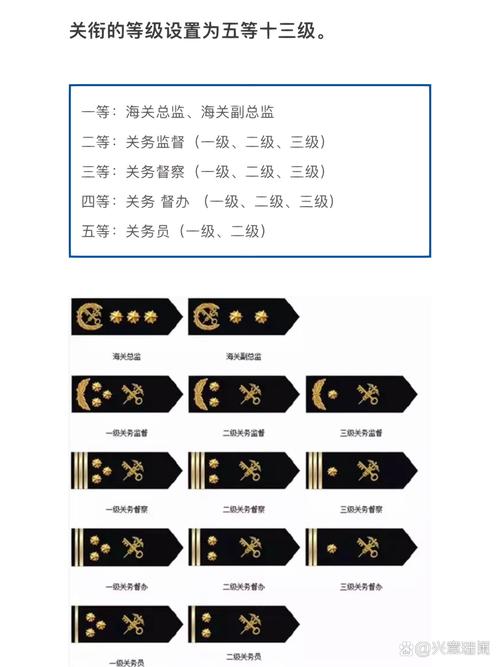 最新发布：海关官员职务等级津贴政策文件解读